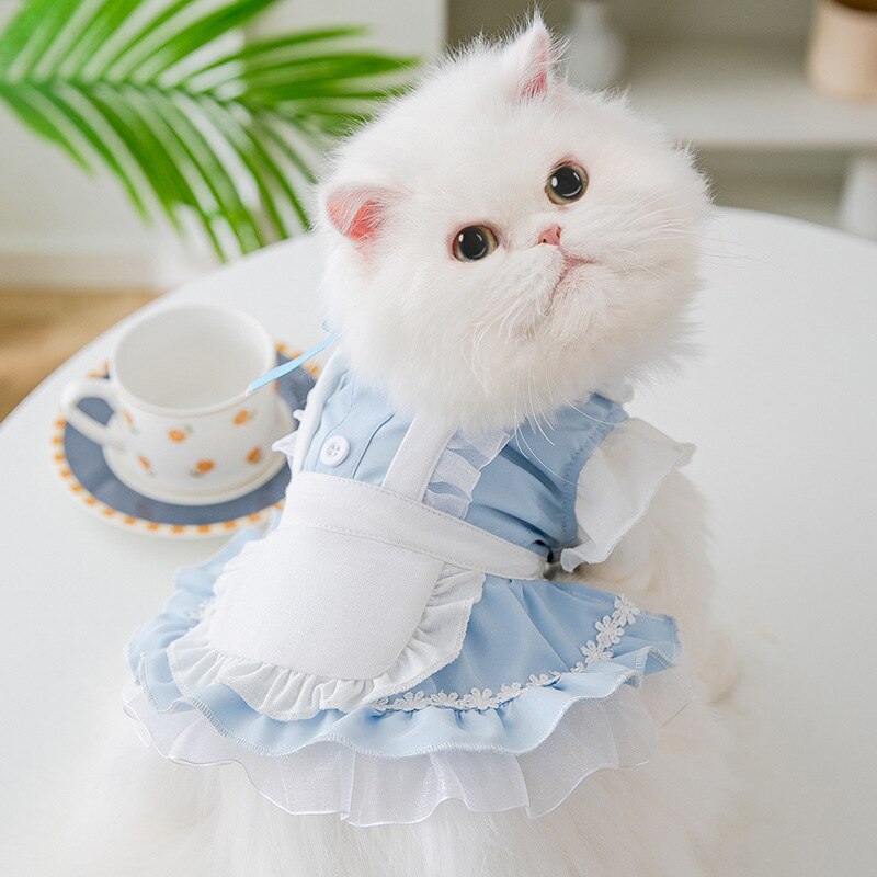 Pet Clothes