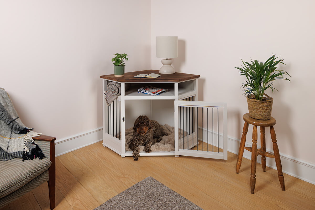 Pet Furniture